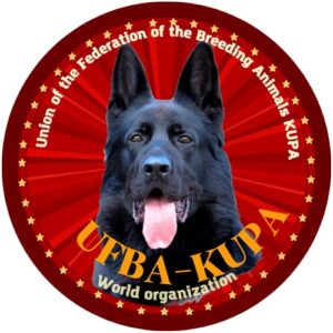 Результаты Крымской выставки «Созвездие Победителей»