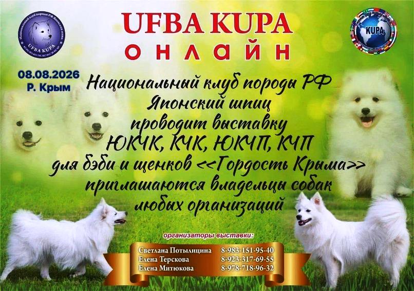 «Гордость Крыма»: выставка японских шпицев