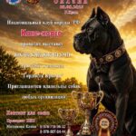 «Гордость Крыма»: выставка Кане‑корсо