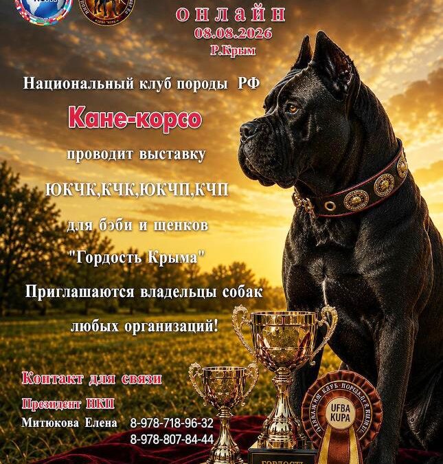 «Гордость Крыма»: выставка Кане‑корсо