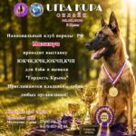 «Гордость Крыма»: выставка малинуа — 08.08.2026