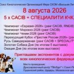 UFBA KUPA — 5×CACIB и специализированные чемпионаты