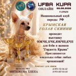 UFBA KUPA — «Гордость Крыма»: выставка Крымская голая скинни