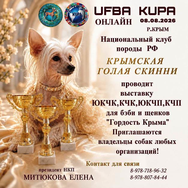 UFBA KUPA — «Гордость Крыма»: выставка Крымская голая скинни