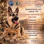 UFBA KUPA — выставка восточно‑европейской овчарки «Гордость Крыма» (08.08.2026, Республика Крым)