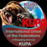 Результаты Крымской выставки UFBA KUPA 2026