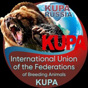 Результаты Крымской выставки UFBA KUPA 2026 | Престиж России | Победители и итоги