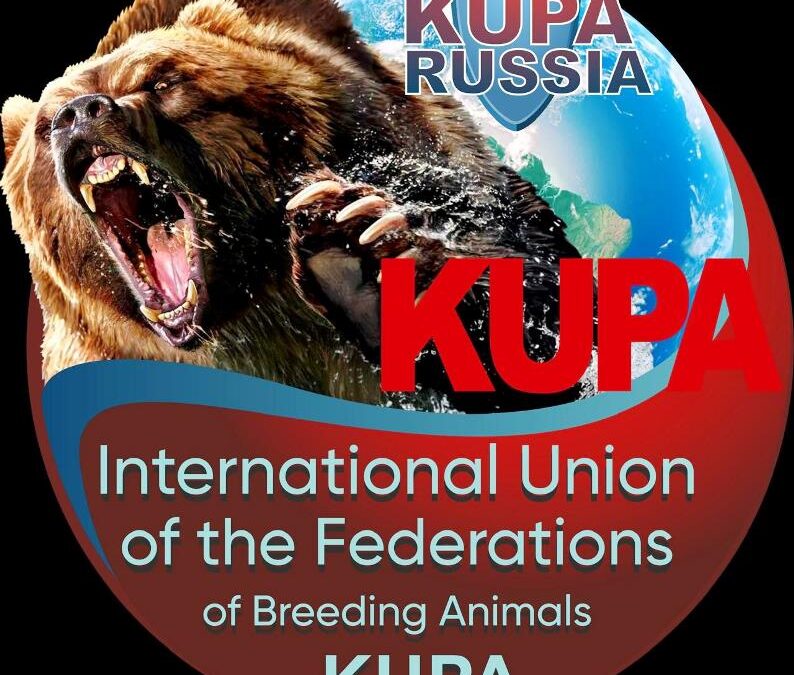 Результаты Крымской выставки UFBA KUPA 2026