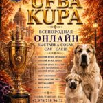 Всепородная онлайн-выставка собак — 11 ноября 2026