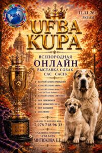 Всепородная онлайн-выставка собак — 11 ноября 2026