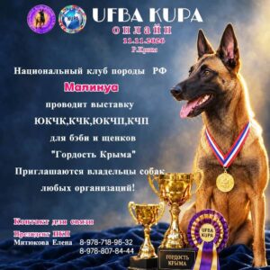 Онлайн-выставка «Гордость Крыма» от НКП «Малинуа» — 11 ноября 2026 года
