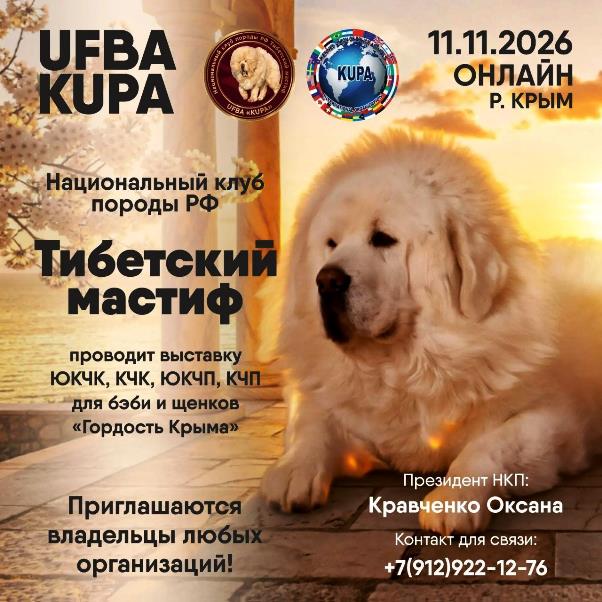 Онлайн-выставка «Гордость Крыма» от НКП «Тибетский мастиф» — 11 ноября 2026 года