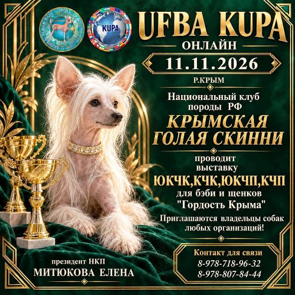 Онлайн-выставка UFBA «KUPA» «Гордость Крыма» — 11 ноября 2026 года