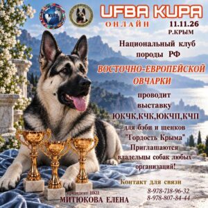 Онлайн-выставка «Гордость Крыма» ВЕО 11.11.2026 | UFBA KUPA