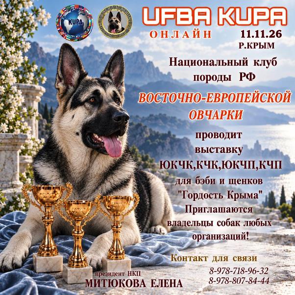 Онлайн-выставка «Гордость Крыма» ВЕО 11.11.2026 | UFBA KUPA