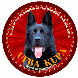 kupa